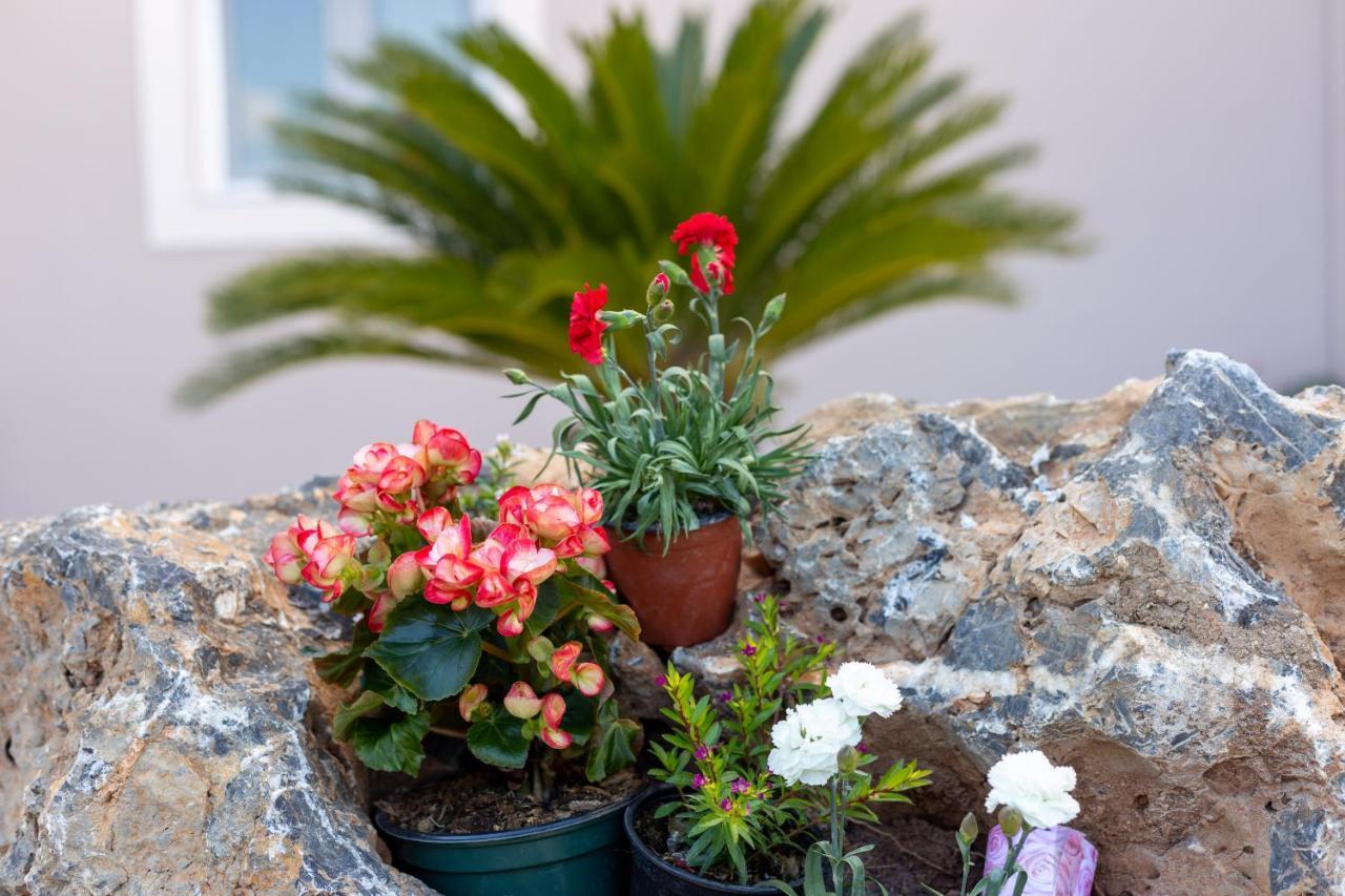 Nightingale Villa & Suites Corfu Gazátika Esterno foto